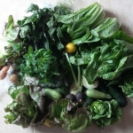 food-1115-greens