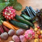 Vegane Rohkost auf Teneriffa, Sommerangebot - Happy Healthy Raw & Free