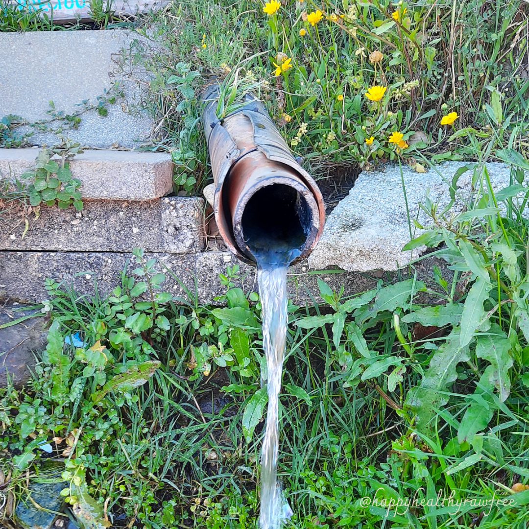 Einfach leben - Wasser aus einer Quelle